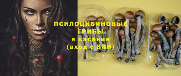 трава Куйбышев