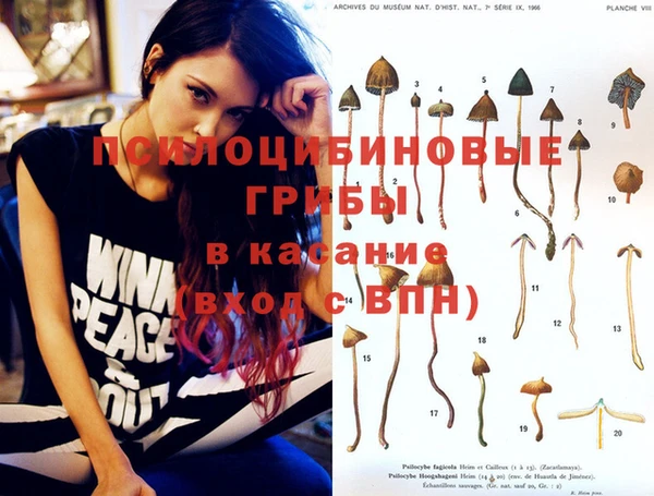 трава Куйбышев