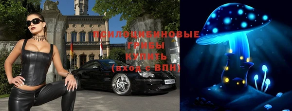 трава Куйбышев
