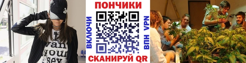 Бошки марихуана Amnesia  Купить закладки  Вихоревка 